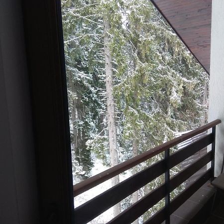 Elitsa Apartment Pamporovo Extérieur photo